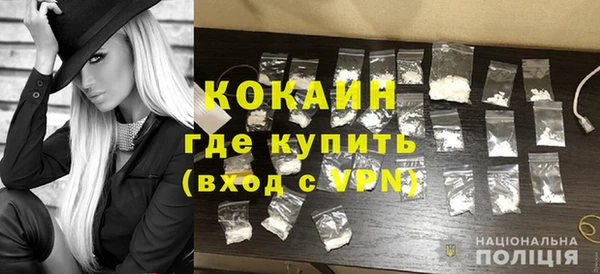 ешки Арсеньев