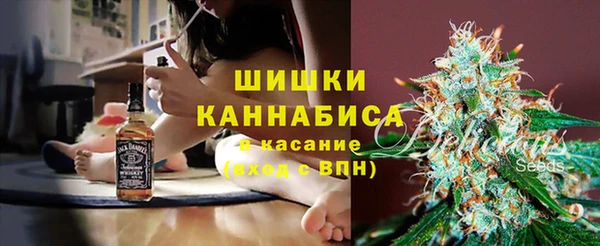 ешки Арсеньев